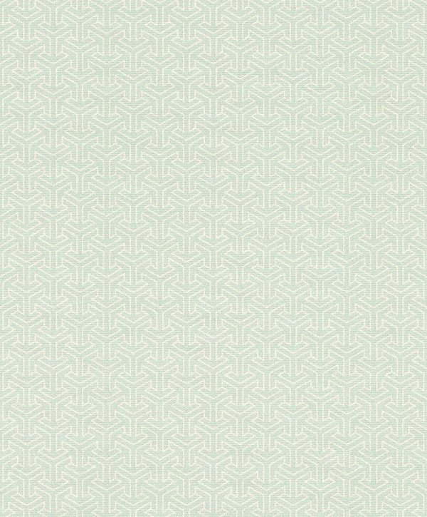 Tapet geometric Rasch